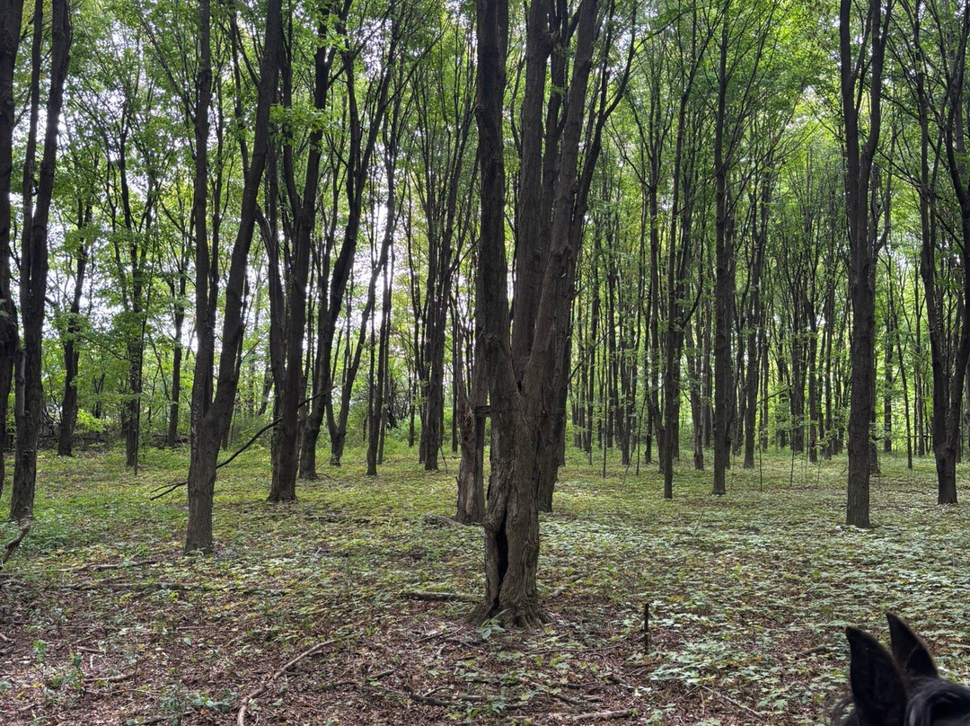 Breakaway Farm-Grand Isle必去景点