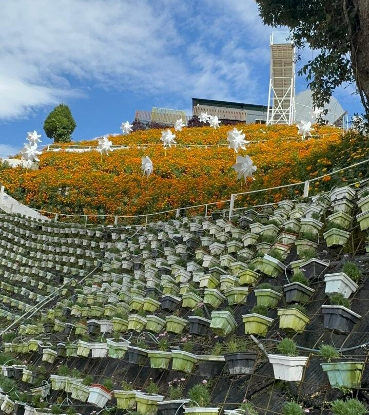 Cameron Highlands Flora Park-碧兰璋必去景点