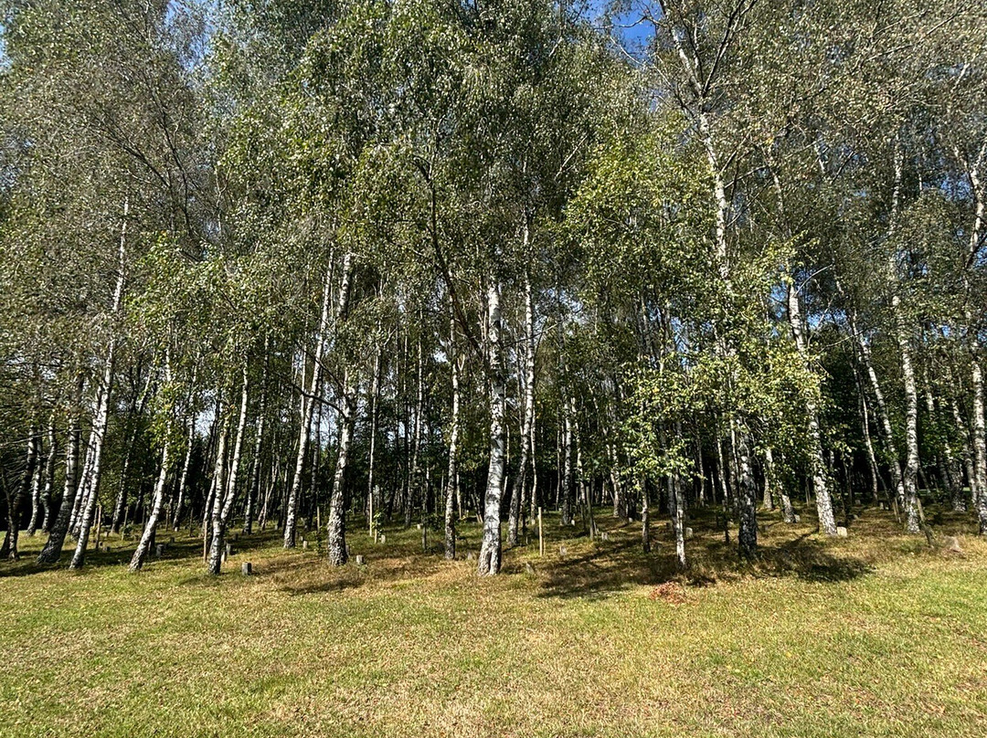 Le Bois de la Paix-巴斯东必去景点