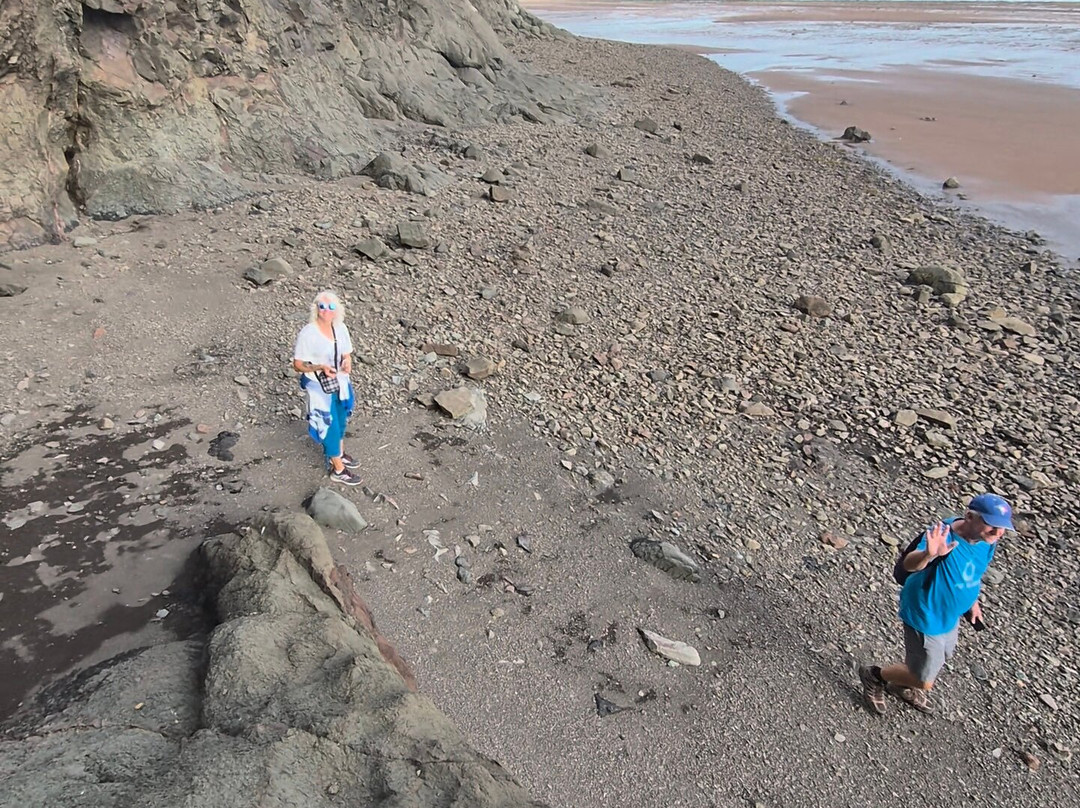 Fundy Treasure Tours-Joggins必去景点