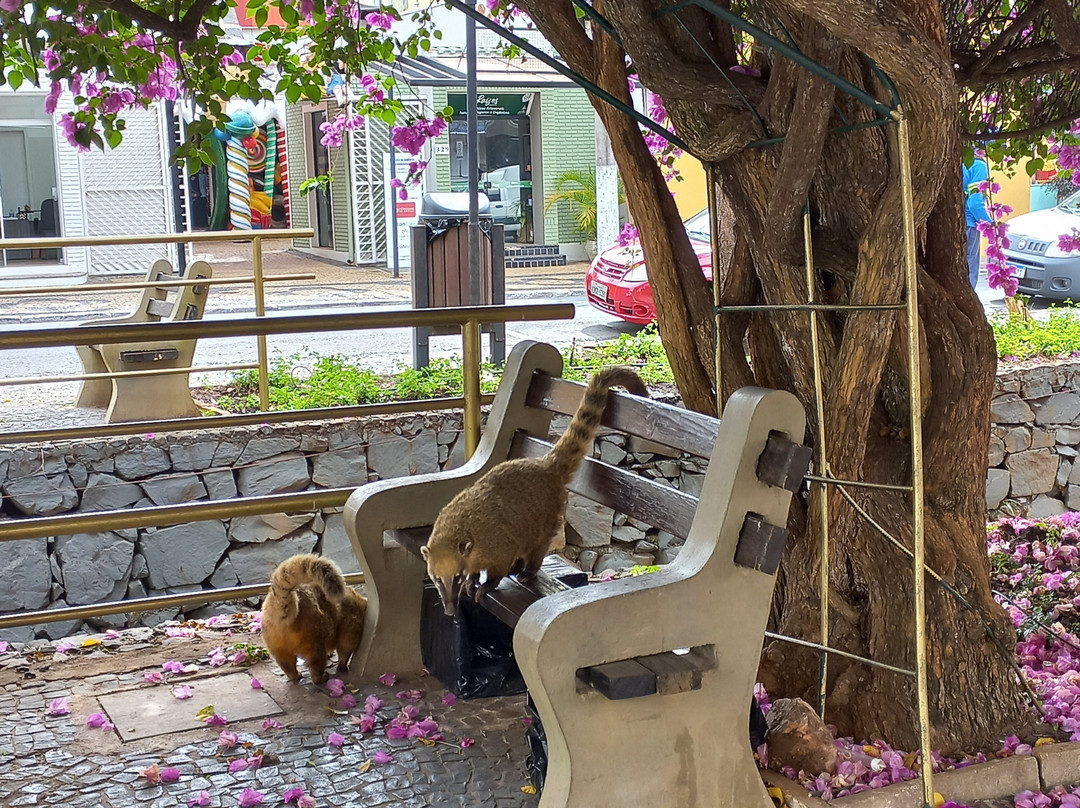 Águas de São Pedro Promenade-Aguas de Sao Pedro必去景点