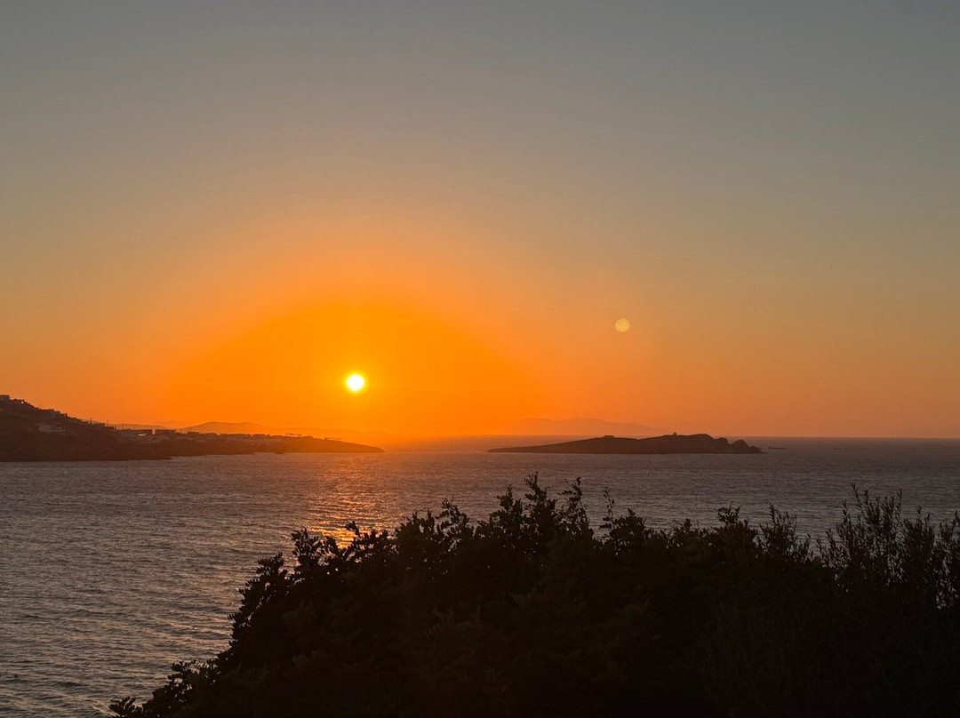 The Garden Of Mykonos-米克诺斯镇必去景点