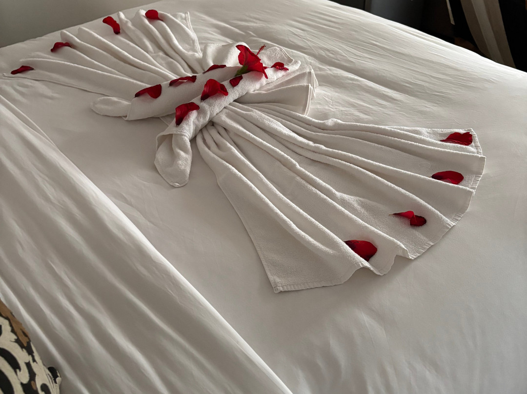 KBC Kitesurf & Wingfoil-达赫拉必去景点