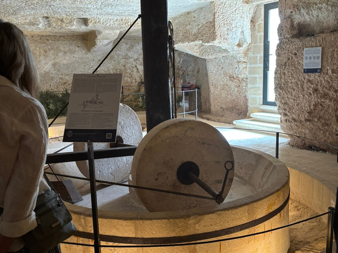 Extravergine Savoia-法萨诺必去景点