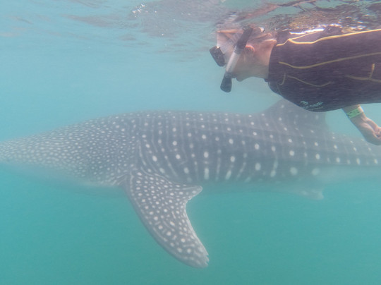 Tuna Tuna Tours-拉巴斯必去景点