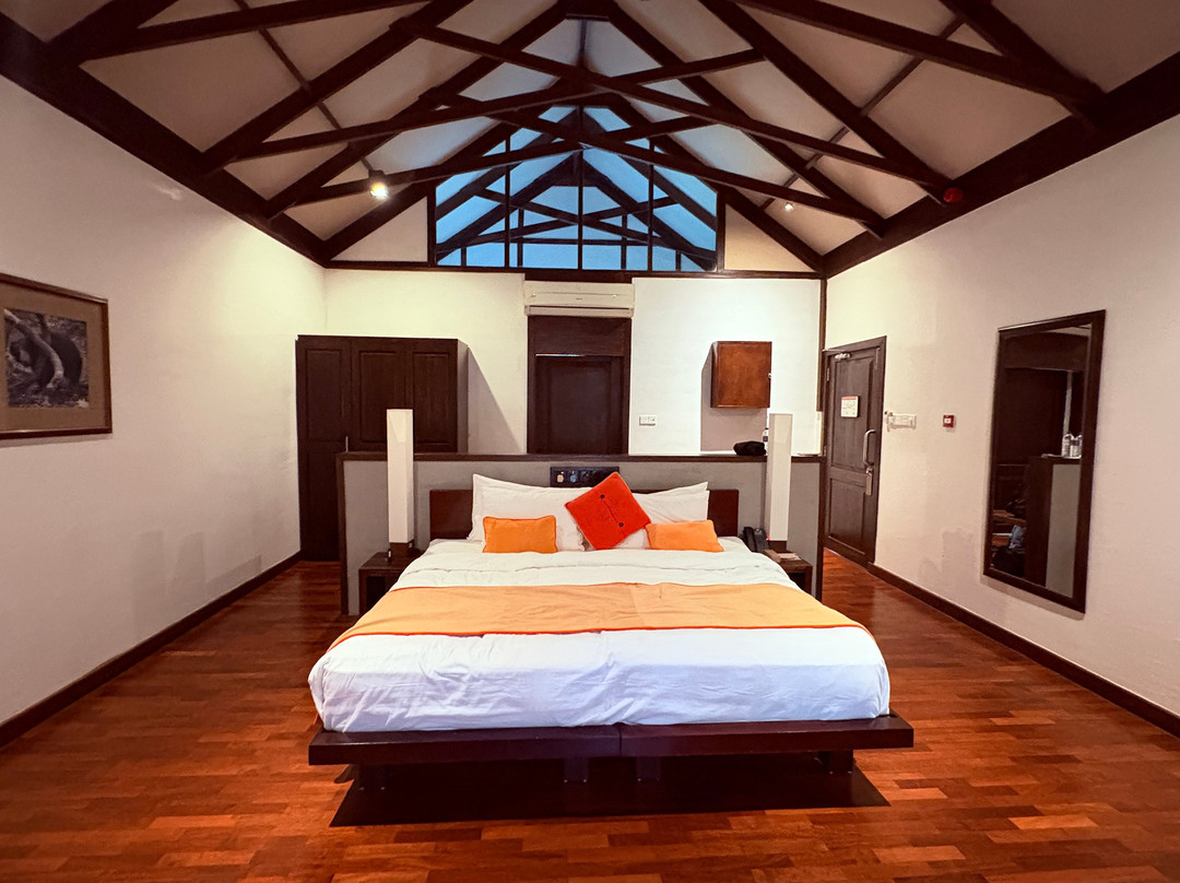 丛林海滩度假村主图