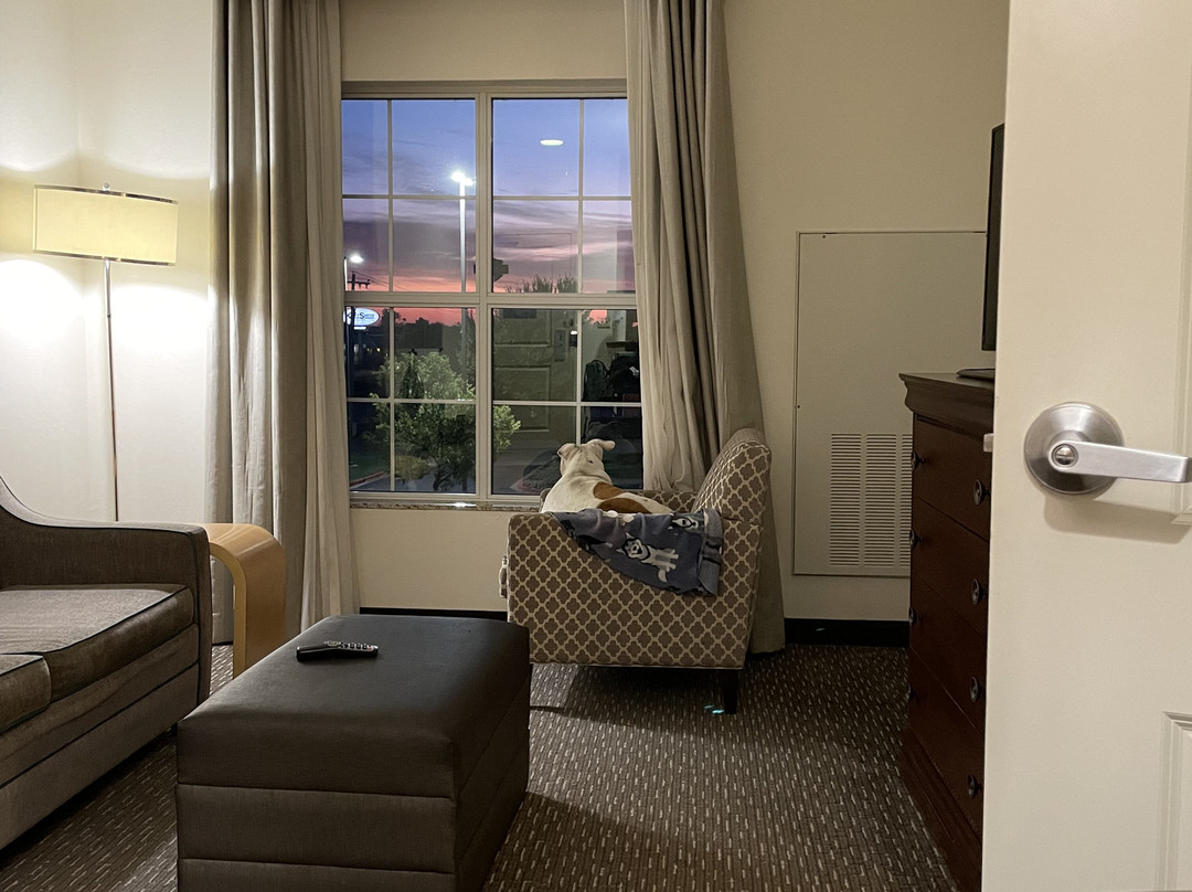 西俄克拉荷马城希尔顿惠庭套房酒店主图