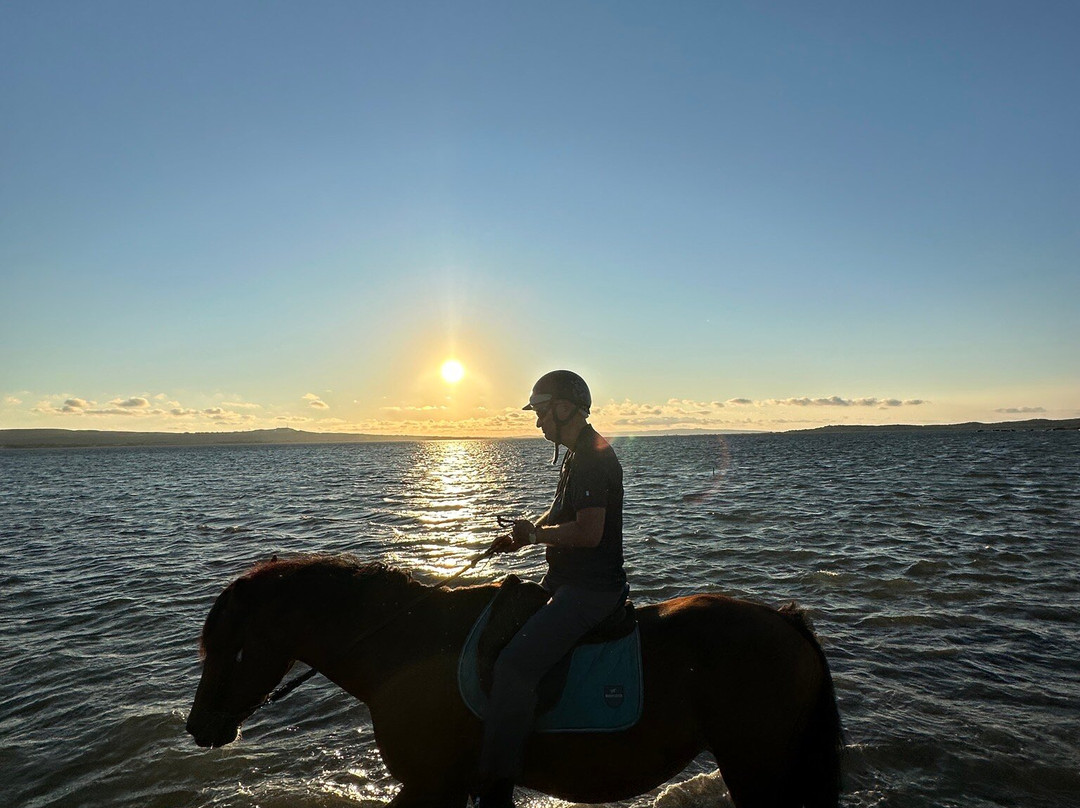 Centro Ippico Meurreddus a Cuaddu-San Giovanni Suergiu必去景点