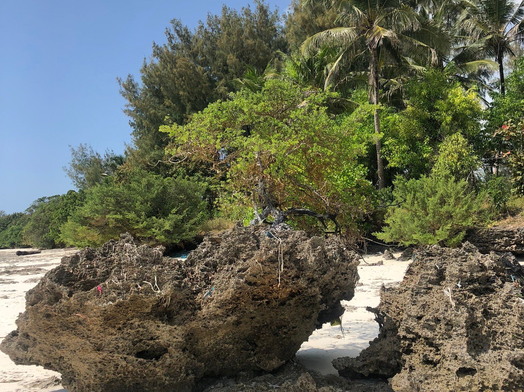 Michamvi Beach-米查维必去景点
