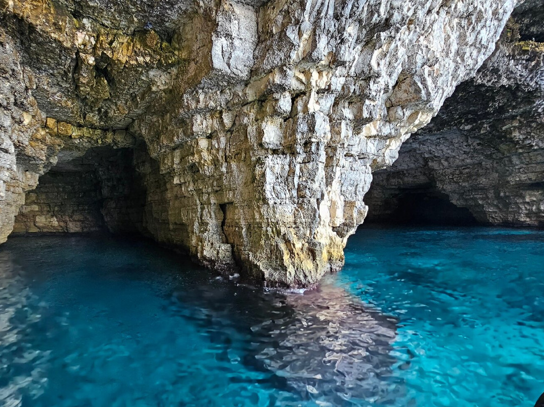 Aquaholic Boat Charters-圣保罗湾城必去景点