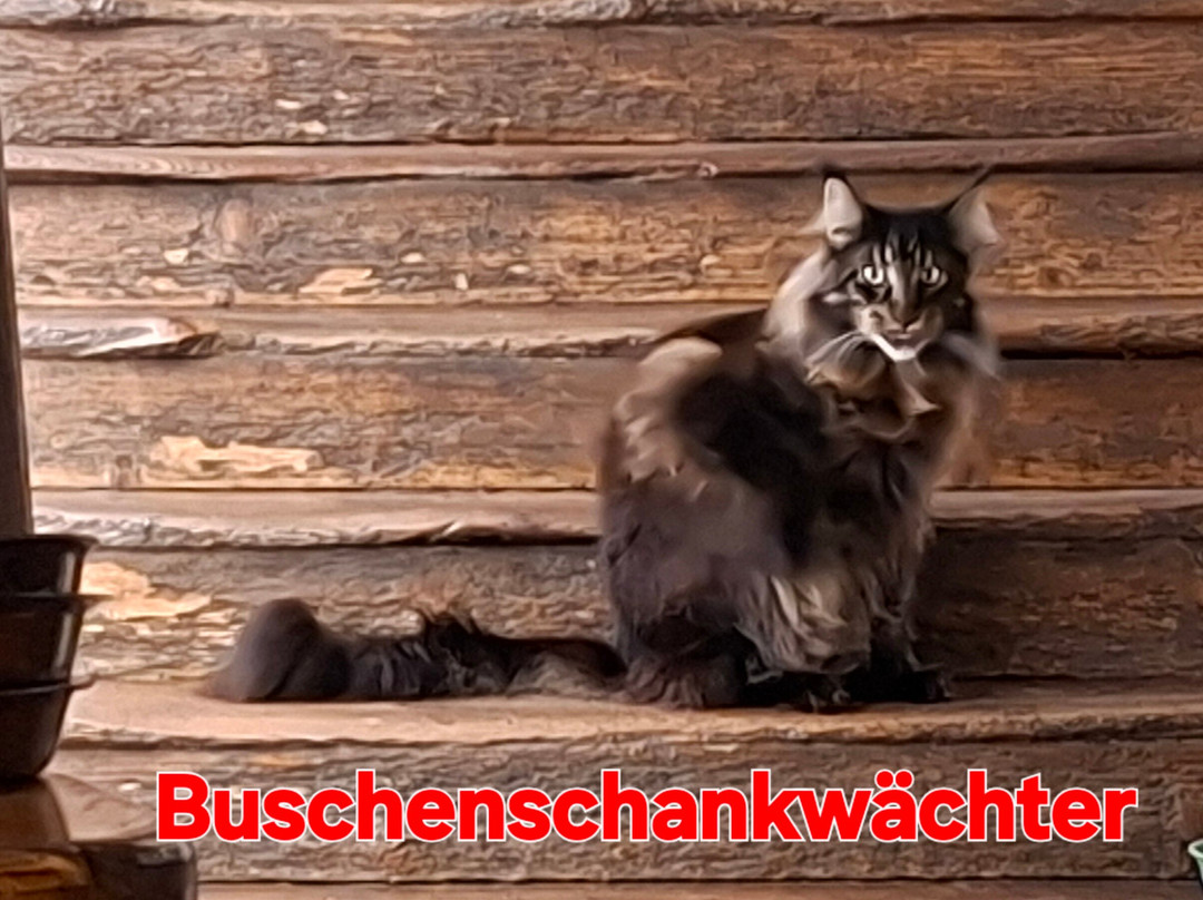 Ferienwohnungen und Buschenschank Kolleritsch