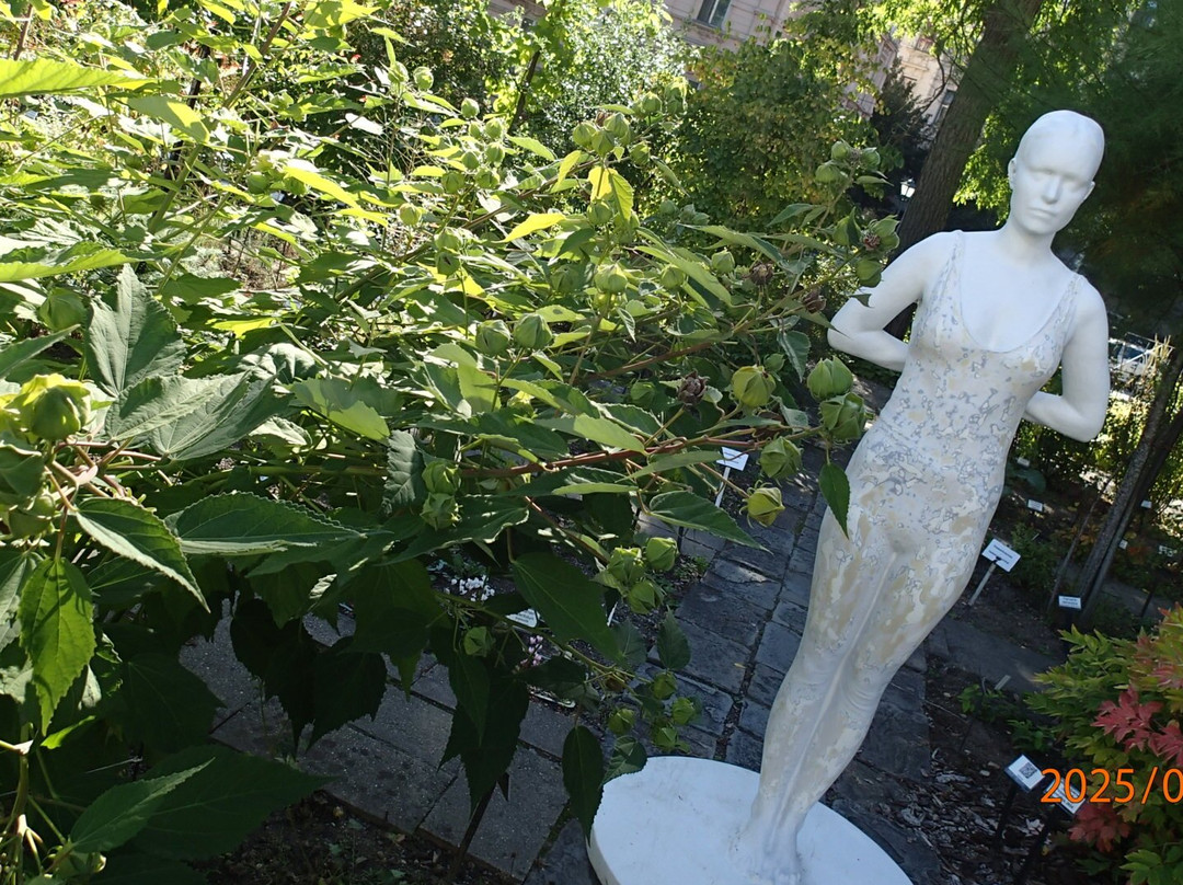 Botanicka Zahrada (Hortus Botanicus)-布尔诺必去景点