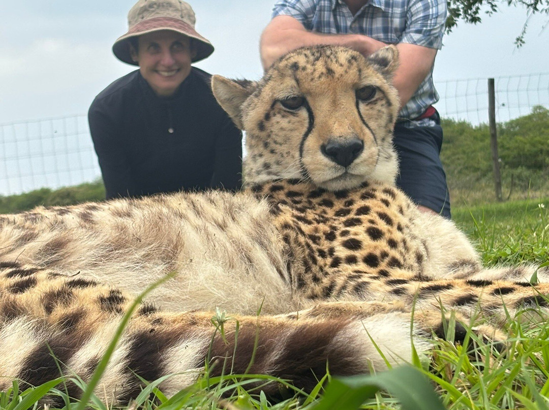 Zululand Cat Conservation Project-Hluhluwe Game Reserve必去景点