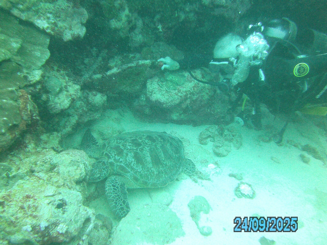 Dive Passion Mauritius-卓得多斯必去景点