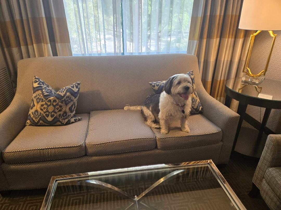 喜来登国际展览中心套房酒店主图