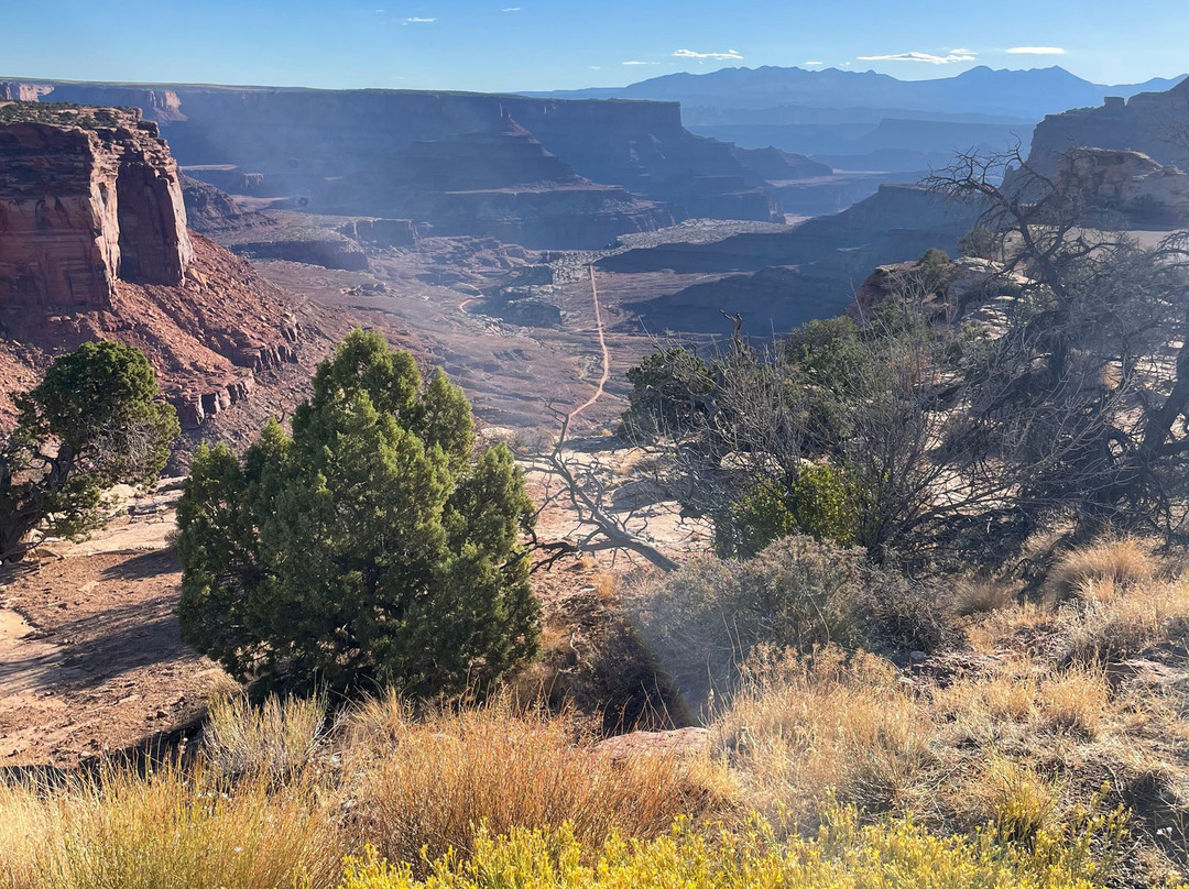 3 Alarm Off Road Tours-莫阿布必去景点