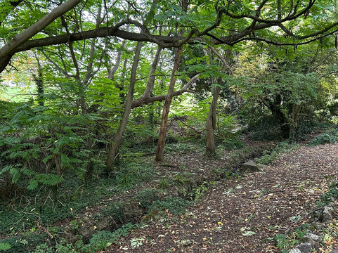 Friary Park-伦敦必去景点