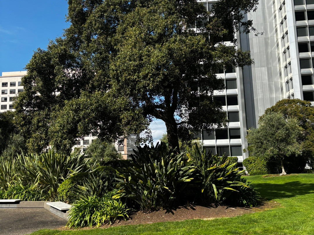 Kaiser Center Roof Garden-奥克兰必去景点