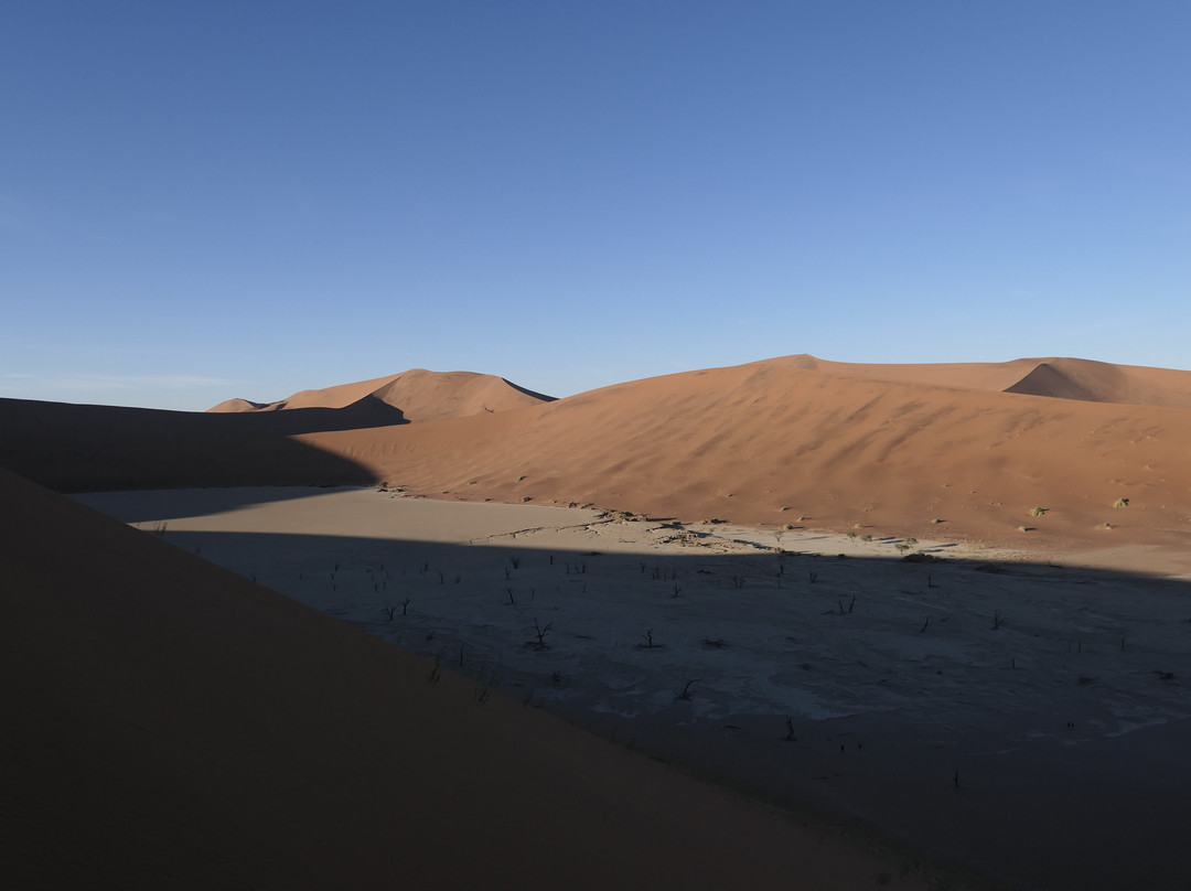 Deadvlei-苏丝斯黎必去景点