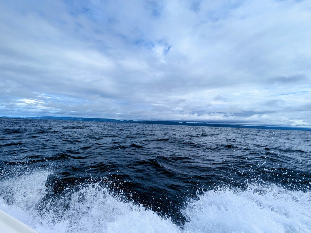 Tuna Fish Sportfishing-Playa Ocotal必去景点