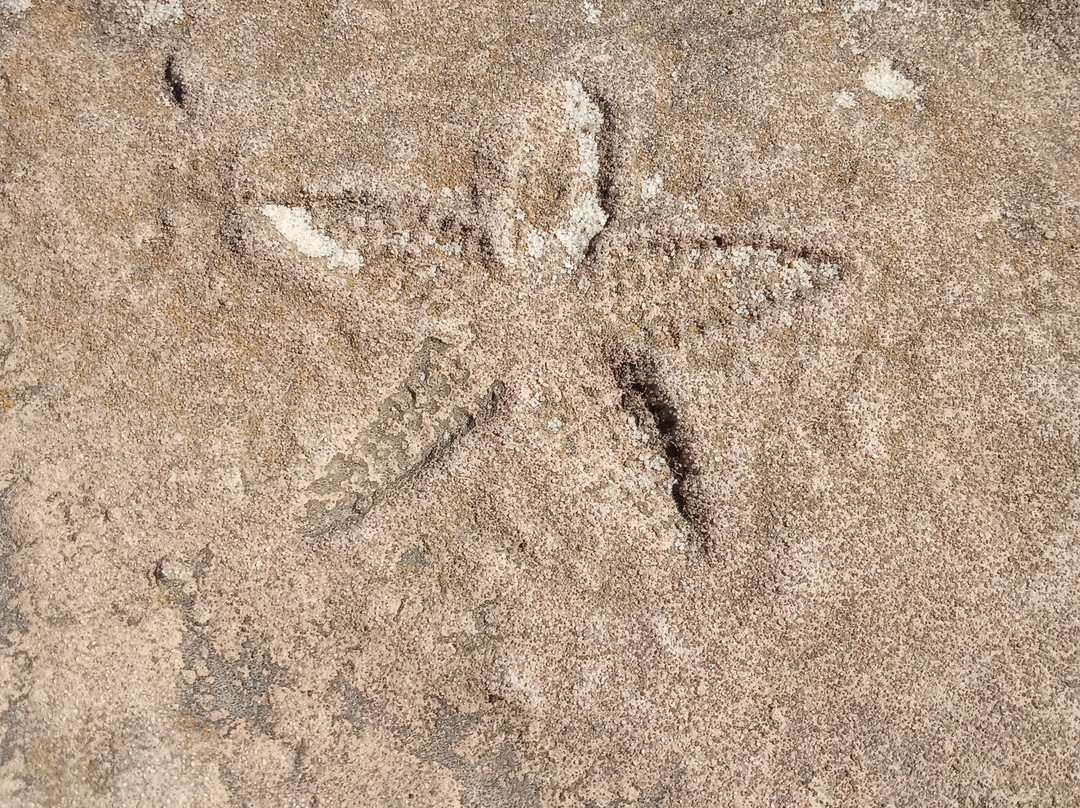 Kooser State park-萨默塞特必去景点