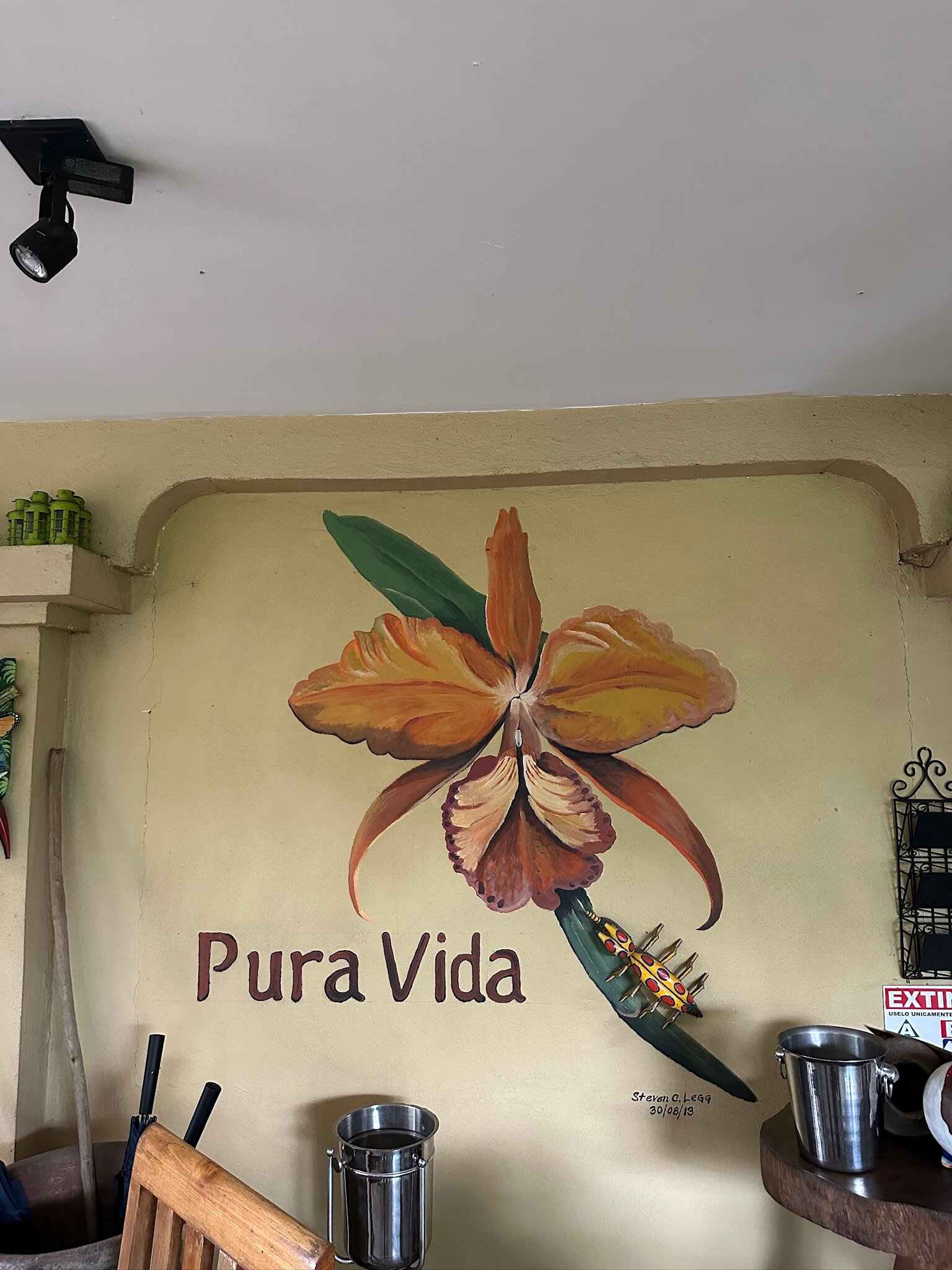 Pura Vida Hotel-浴室
