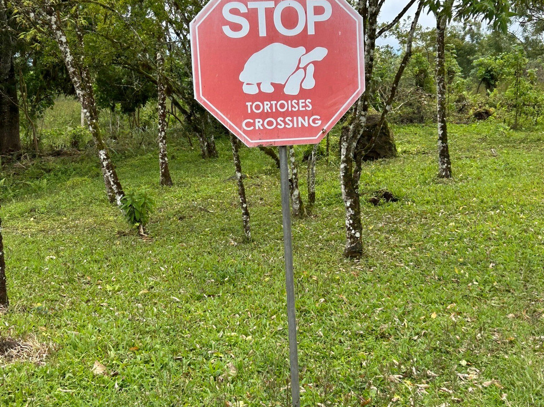 Reserva El Chato-阿约拉港必去景点