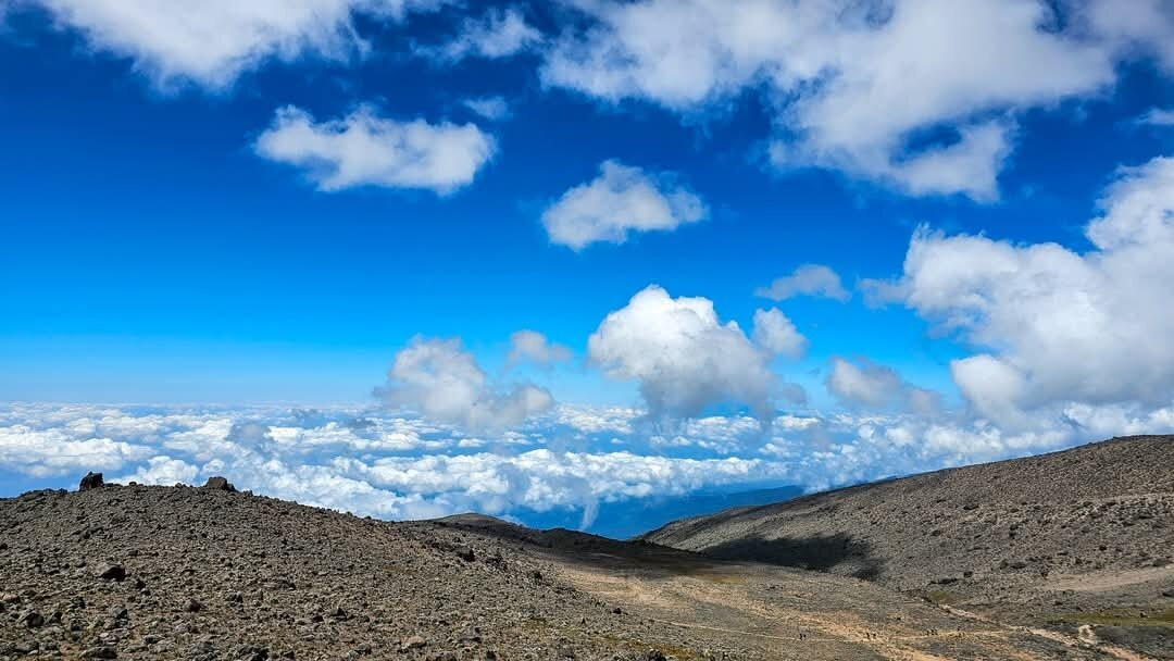 Mogli Adventure Tanzania-莫西必去景点
