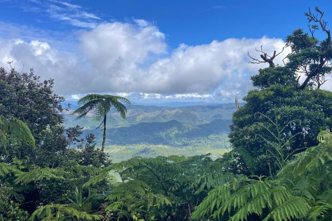 Village Stay Fiji At Navai Village Fiji