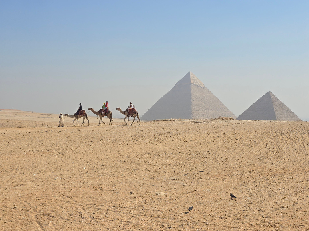 Absolute Egypt-科伦布拉必去景点