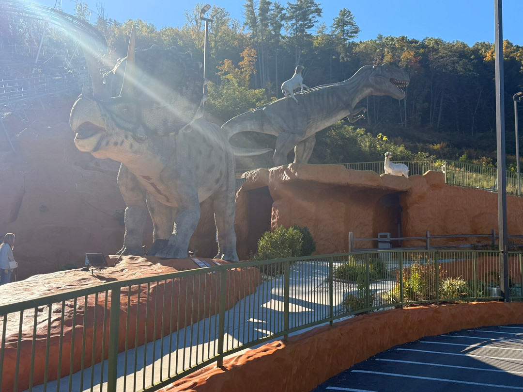 Goats on the Roof-皮金福奇必去景点