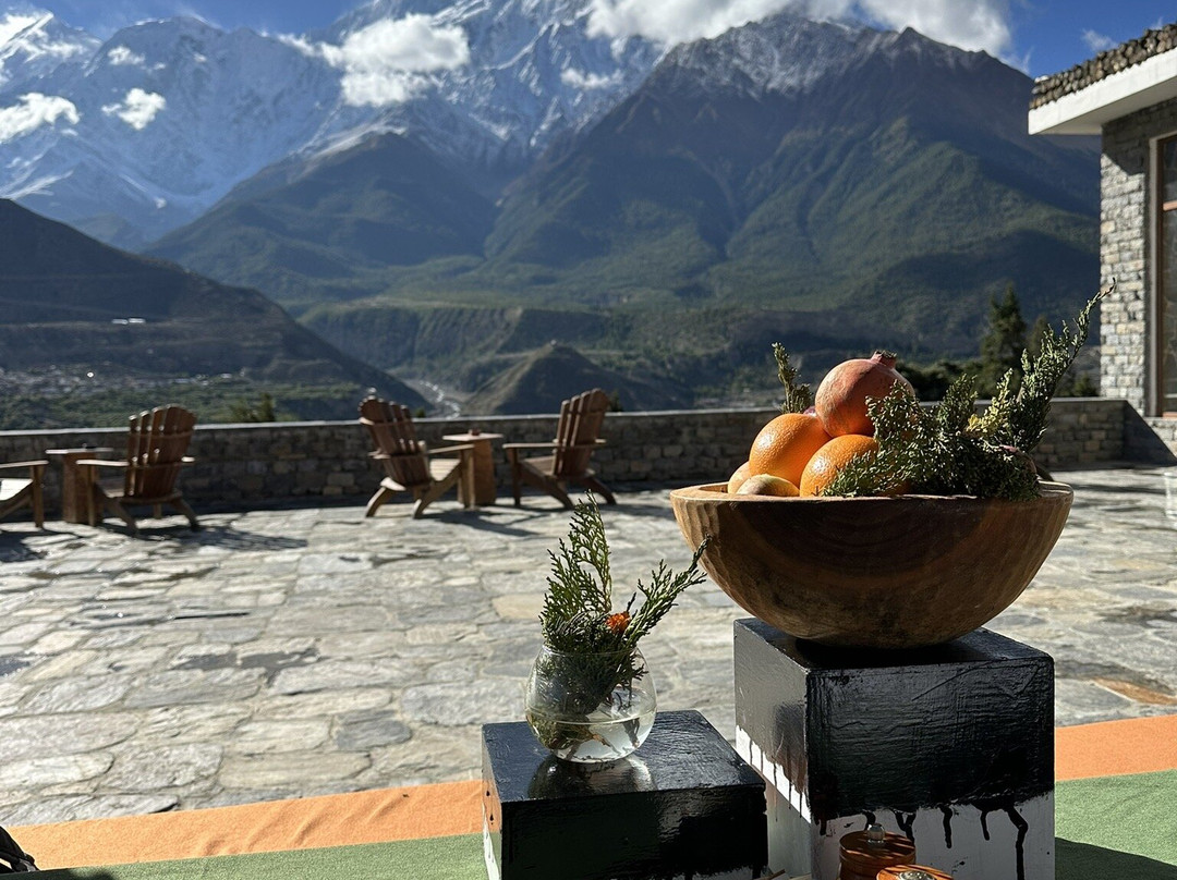 Shinta Mani Mustang主图