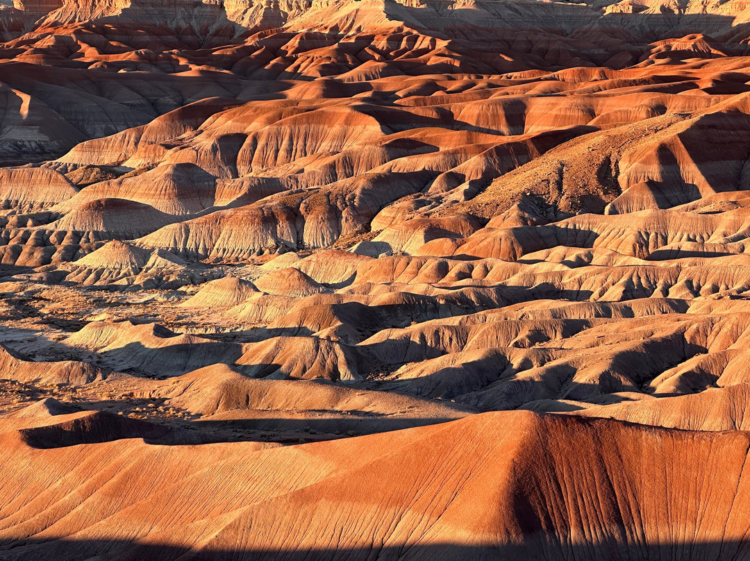 Little Painted Desert Scenic View-温斯洛必去景点