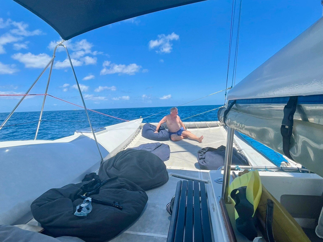 Coral Cats双体船出海一日游-丹娜努岛必去景点