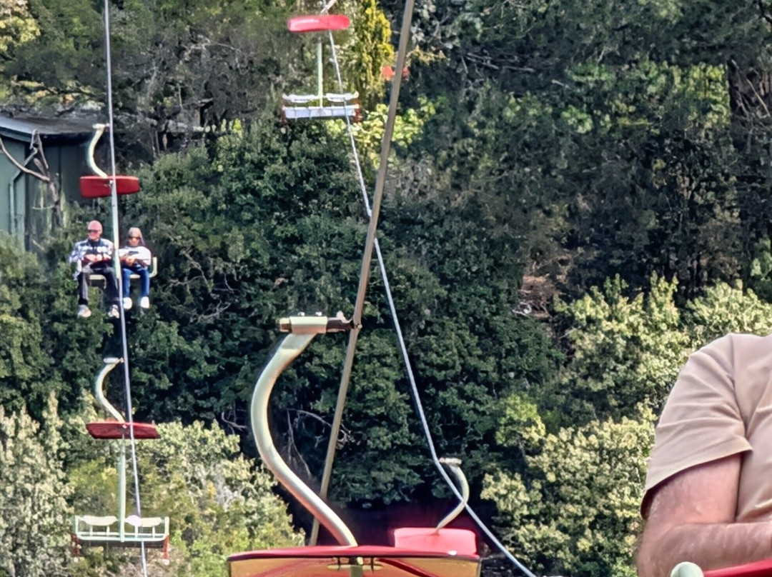 Gorge Scenic Chairlift-朗塞斯顿必去景点