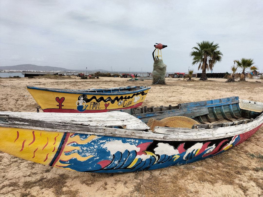 ODYSSEY - Ria Formosa Boat Tours-奥良必去景点