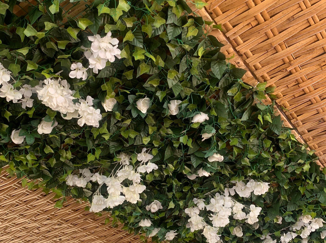 Paraiba do Sul River-Tres Rios必去景点