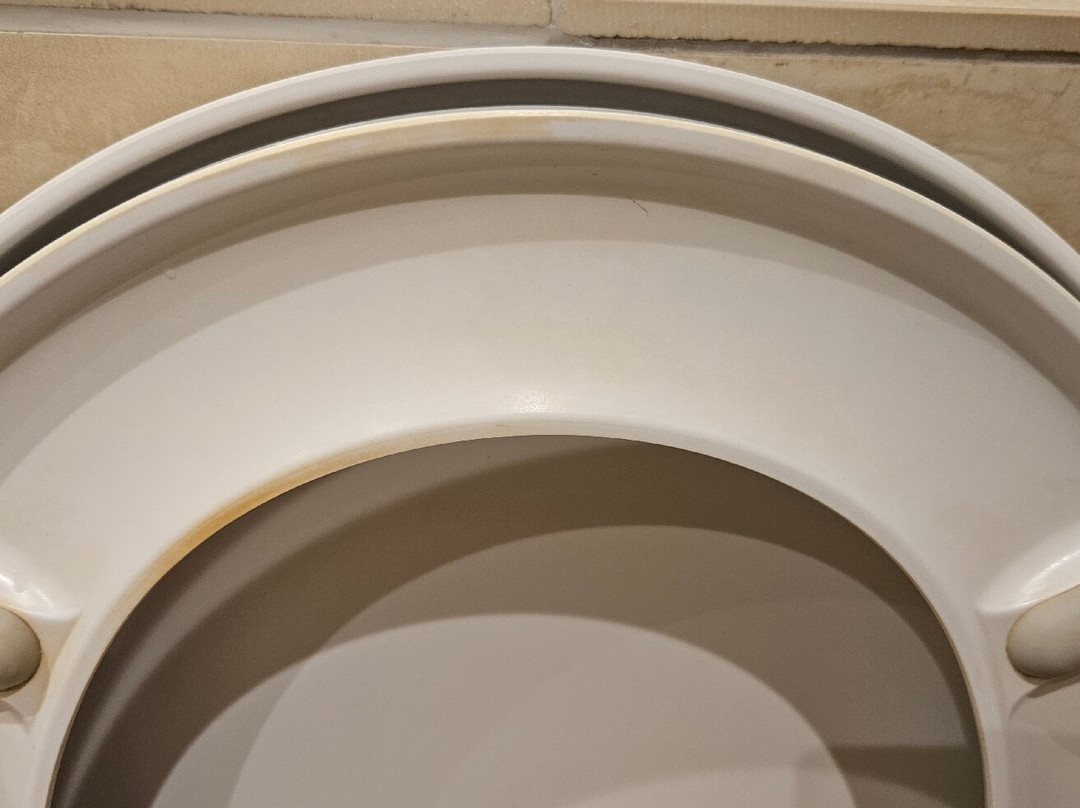 莫科尼帕莱斯Spa酒店主图