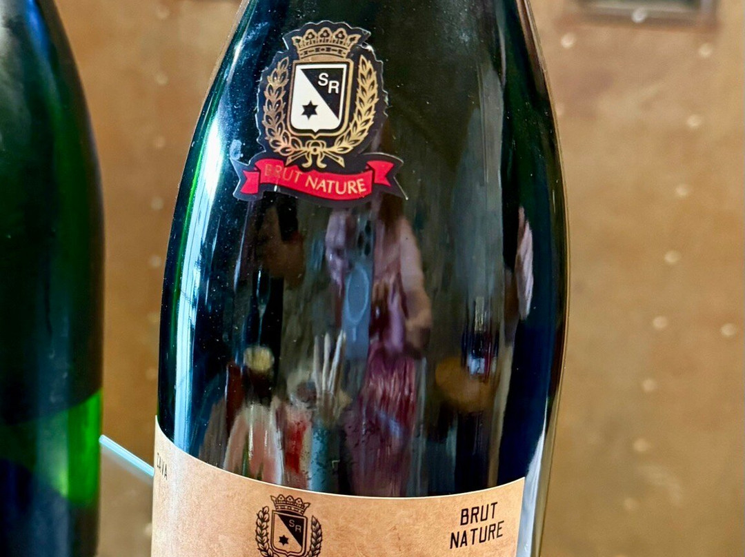 Cava Sola Raventos-桑特萨杜尔尼达诺亚必去景点