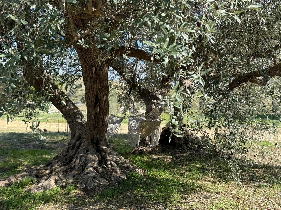 Borgo Delle Pietre
