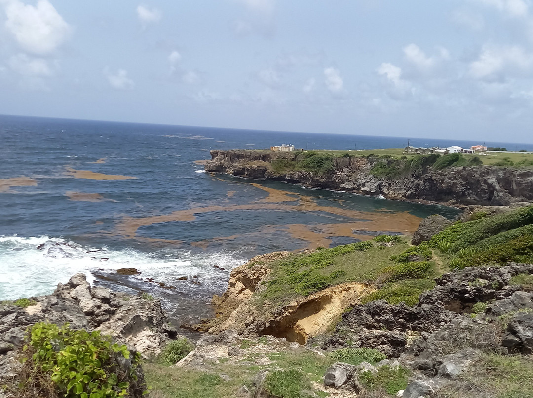 Ragged Point Lighthouse-Saint Philip Parish必去景点