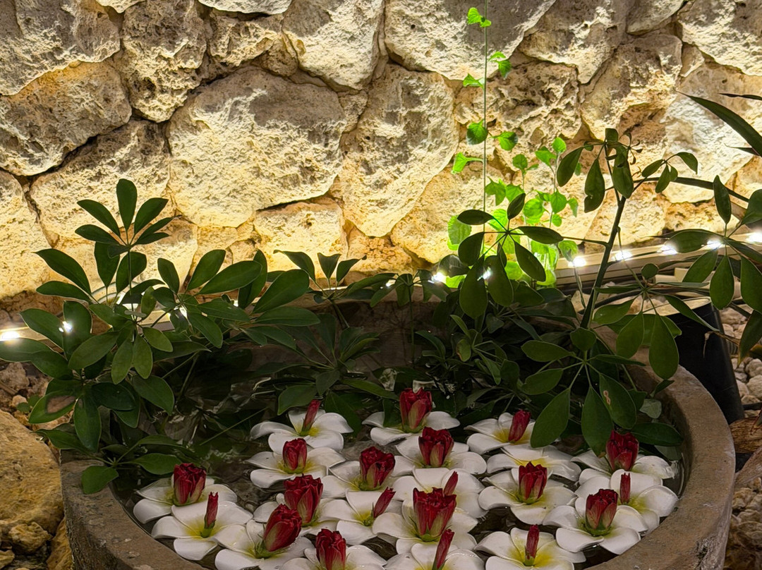 繁花钴蓝海湾珊瑚度假村主图