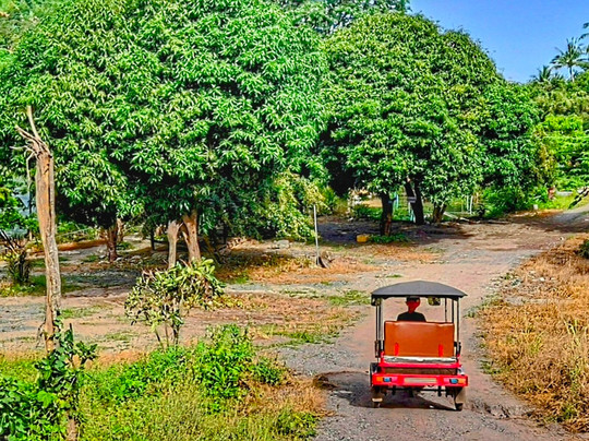 Bou's Kampot Adventures-贡布必去景点
