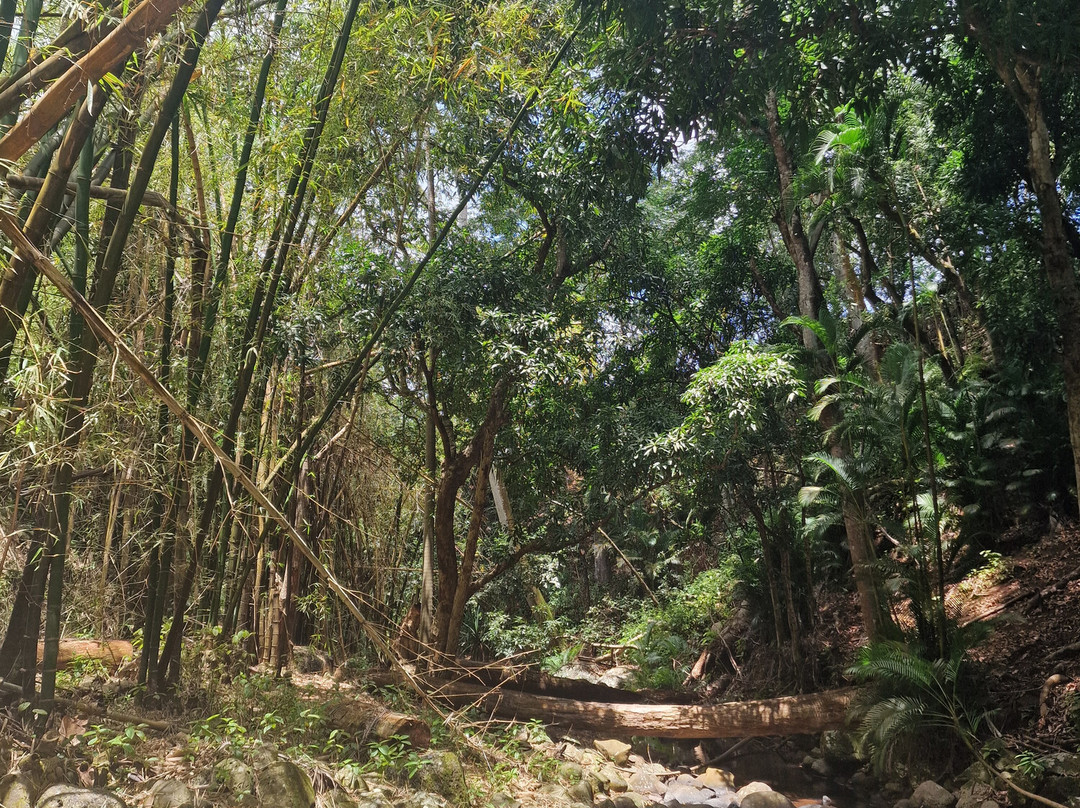弗雷德里卡自然保护区-贝尔欧布莱必去景点