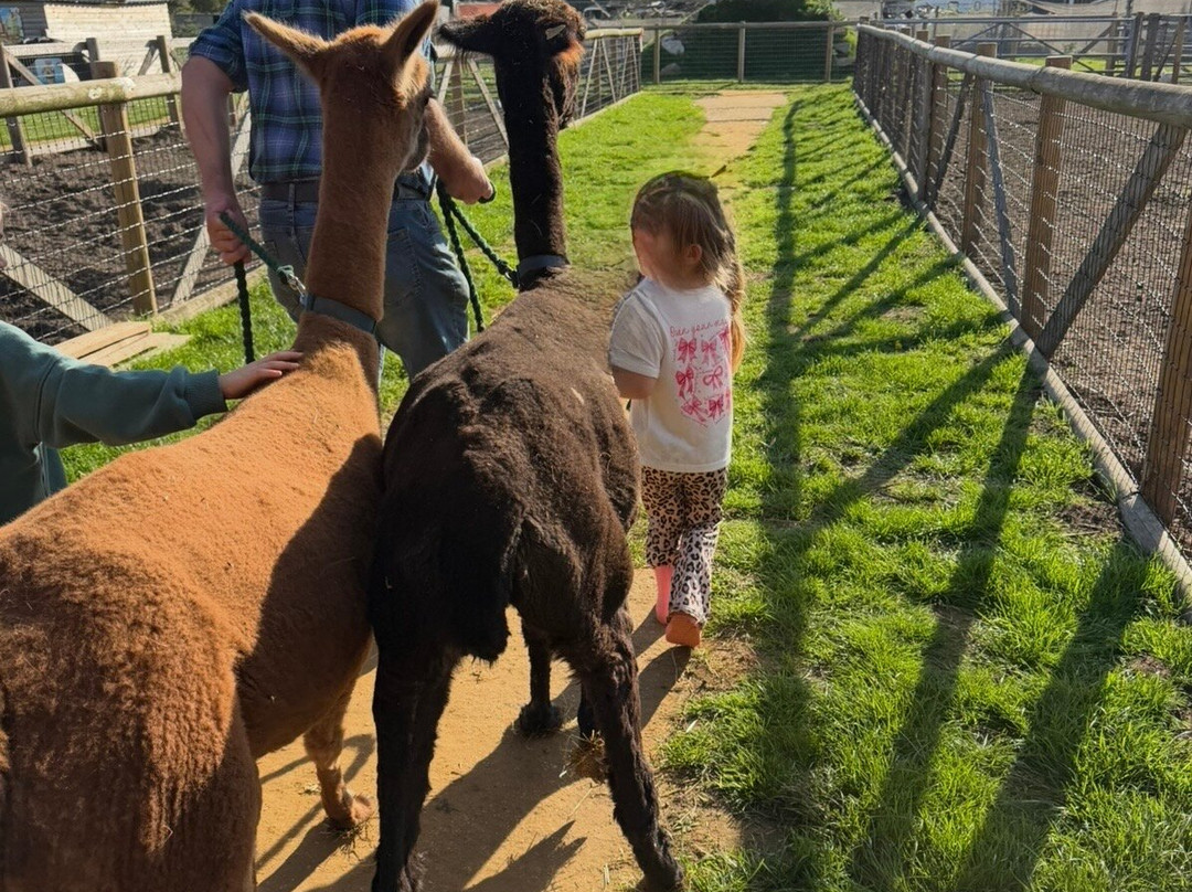 Milestone Ranch Country Park-唐克斯特必去景点