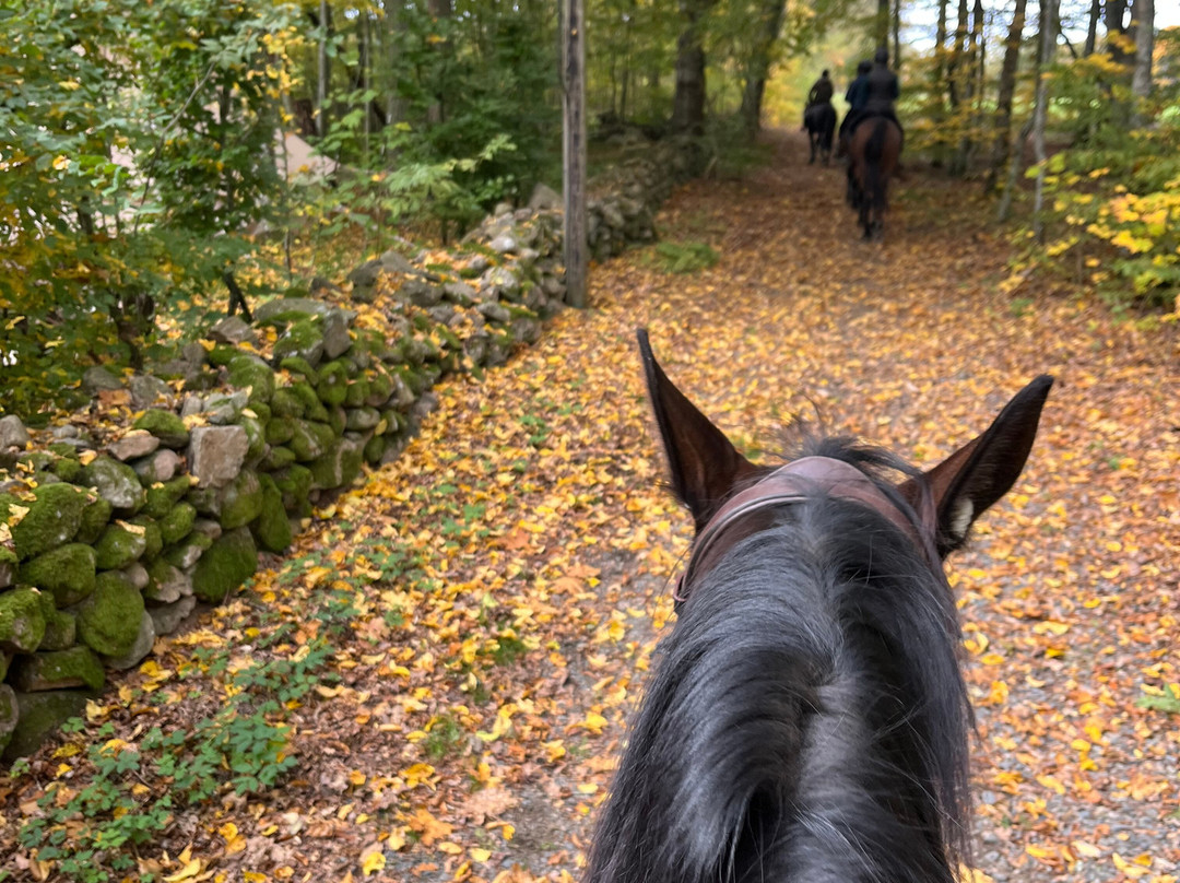 Tostarp Bed'n Ride-Ljungbyhed必去景点