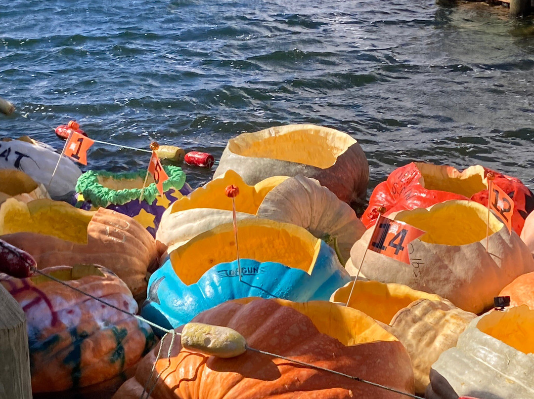 The Cooper's Inn主图