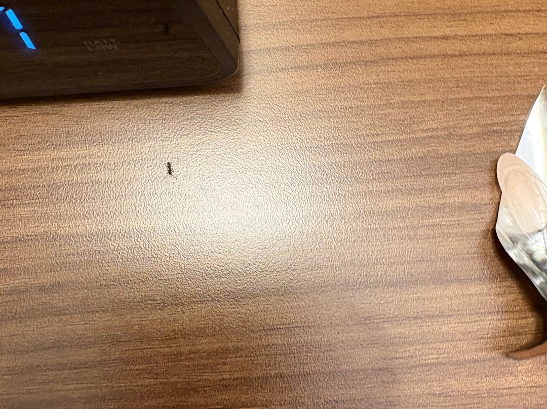 Holiday Inn Express & Suites Schererville By IHG主图