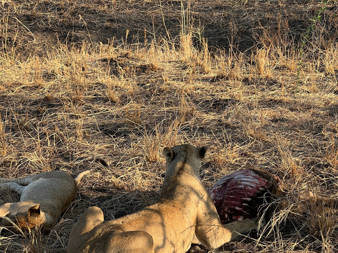 Passionate Safaris-Dar es Salaam必去景点
