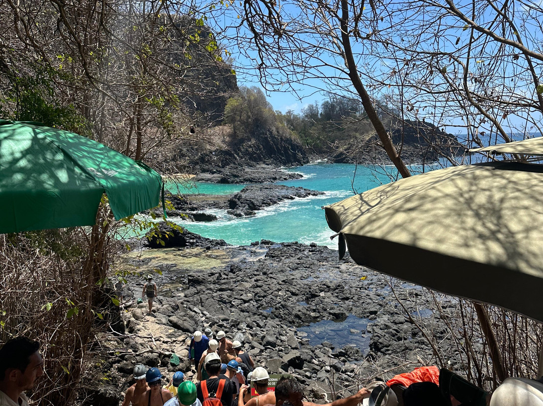 ALGA NORONHA-费尔南多-迪诺罗尼亚群岛必去景点